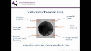 AntibodyNanoparticle Conjugation Webinar Gold nanoparticles  optimization of conjugates [upl. by Aromas980]