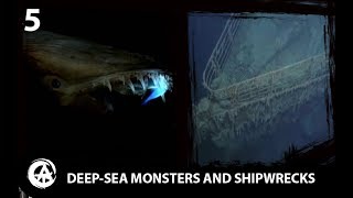 5 Videos That WILL Trigger Thalassophobia [upl. by Mata]