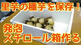 【農業53】里芋の種芋を保存する、発泡スチロール箱の作り方【冬越し】 [upl. by Lleinad242]