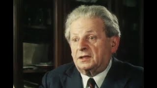 Levinas on the Face [upl. by Parcel]