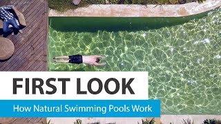 How natural swimming pools work – CHOICE [upl. by Okin]