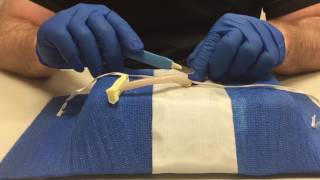 Umbilical Vein Cannulation Training [upl. by Akerdna]