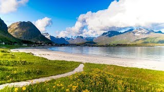 Uplifting Music  light positive happy music Gullrosøya  1 hour [upl. by Isabeau]