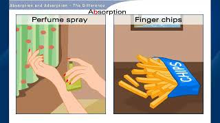 Understand Absorption and Adsorption Chemistry  Class 9 [upl. by Bushweller]