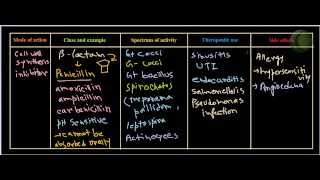 Penicillin antibiotics [upl. by Ennaillij875]