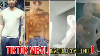 INVISIBLE CHALLENGE  The Trending Challenge of Tiktok [upl. by Borlase]