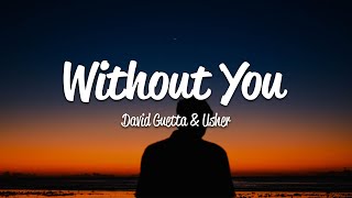 David Guetta  Without You Lyrics ft Usher [upl. by Binny780]