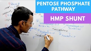 Pentose Phosphate Pathway  Hexose Monophosphate Shunt [upl. by Olram]