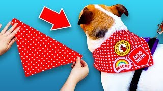 3 DIY Crafts Your Dog Will Love [upl. by Sluiter]