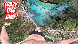 JUMPING OUT OF MASSIVE TREE  Extreme Florida Cliff Jumping [upl. by Dare]