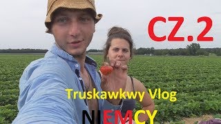 Truskawkowy Vlog  Zbiór truskawek Ahlhorn Niemcy 2019 Cz2 [upl. by Amero]