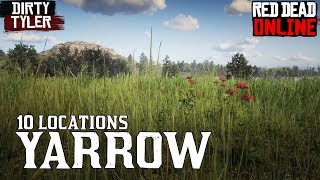 Yarrow RDR2 Locations for Daily Challenges Red Dead Online [upl. by Kenyon]