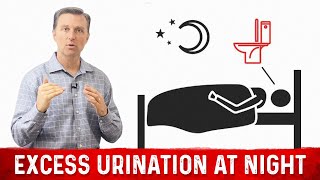 How to Fix Frequent Urination at Night Nocturia – Dr Berg [upl. by Giess]