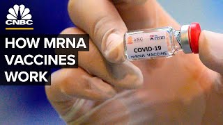 What Is An mRNA Coronavirus Vaccine [upl. by Rickard726]