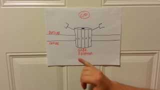 How Xanax Alprazolam Works  The GABA Complex [upl. by Kurtz361]