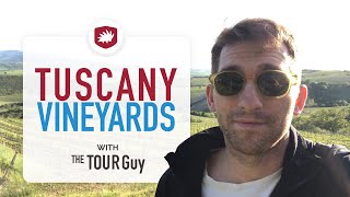 How to visit Vineyards in Tuscany [upl. by Ailecnarf]