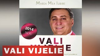 VALI VIJELIE amp ASU  MAREA MEA IUBIRE HIT 2014 [upl. by Janeva]