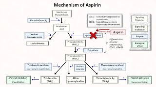 Hemostasis Lesson 5  Antiplatelet Meds Part 1 of 2 [upl. by Geilich960]