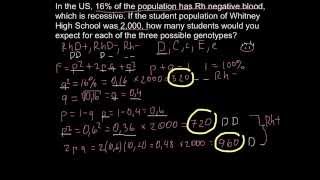 Rh blood types and population genetics [upl. by Aeuhsoj301]