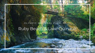 OLYMPIC NATIONAL PARK  Ruby Beach amp Lake Quinault [upl. by Brigg]