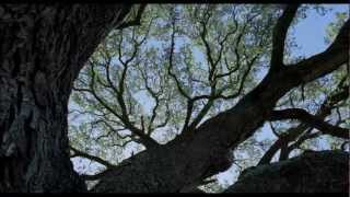 Funeral Canticle From quotThe Tree of Lifequot [upl. by Eelana]