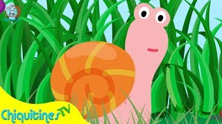 Caracol Caracolito  Canción Infantil [upl. by Blim]