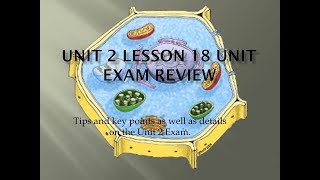 Science 10 Biology Unit Exam Review [upl. by Aihsit48]