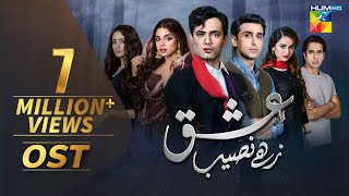 Ishq Zahe Naseeb  OST  HUM TV  Drama [upl. by Eirelav]