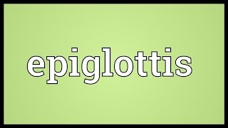 Epiglottis Meaning [upl. by Shirlee]