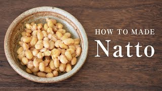 How to Make Natto  A Tutorial on How to Make Homemade Fermented Soybeans [upl. by Llenal]