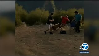 Bear attack caught on camera Man bitten by cub while celebrating July 4th on Mount Wilson ABC7 [upl. by Shetrit86]