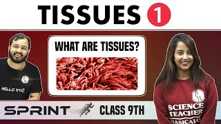 Tissues 01  What are Tissues  Class 9  NCERT  Sprint [upl. by Magee]