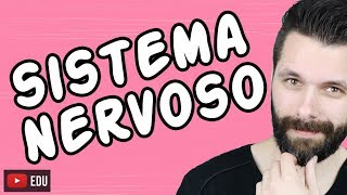 SISTEMA NERVOSO  FISIOLOGIA  Aula  Biologia com Samuel Cunha [upl. by Purpura652]