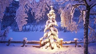 Antonio Vivaldi quotWinterquot 2 Satz  HD [upl. by Ellevel584]