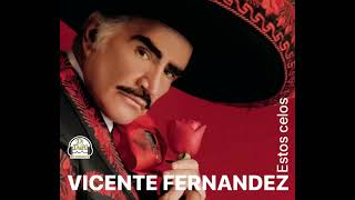 Estos celos  Vicente Fernández [upl. by Aziul]