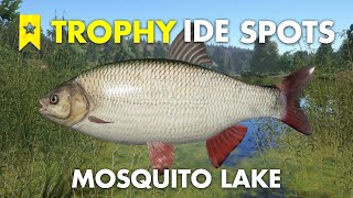 Russian Fishing 4 TROPHY IDE SPOT Mosquito Lake [upl. by Amii]