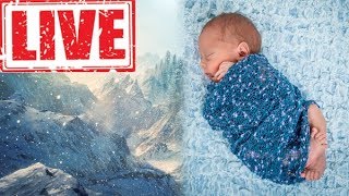 LIVE 🔴 Biały szum  ZAMIECI ŚNIEŻNEJ ❄❄❄ [upl. by Molini]