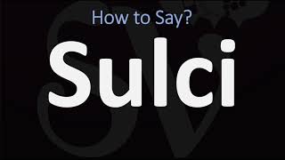 How to Pronounce Sulci CORRECTLY [upl. by Ahern]