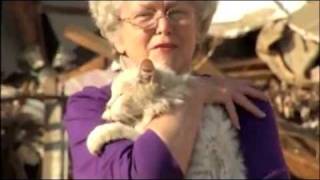 Tornado Victim Finds Cat During Interview [upl. by Danica948]