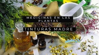 Plantas medicinales tinturas madres [upl. by Spiegel]