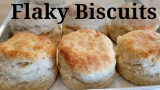 Flaky Biscuits Recipe with AllPurpose Flour [upl. by Glynnis]