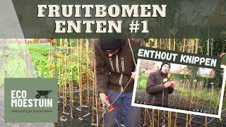 Fruitbomen enten voorbereiding [upl. by Brunhilda]