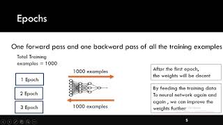 Epoch Batch Batch Size amp Iterations [upl. by Aihsatsan957]