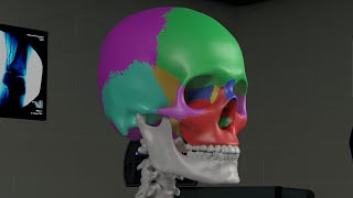 NOSE AND PARANASAL SINUSES  ANATOMY  SIMPLIFIED [upl. by Eamaj250]