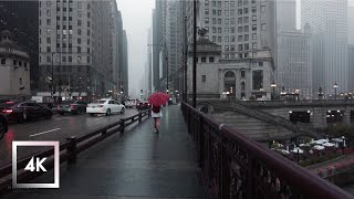 Rainy Day in Downtown Chicago Light Thunderstorm and City Sounds [upl. by Haskel]