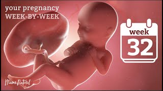 32 Weeks Pregnant  Natural Pregnancy WeekByWeek [upl. by Orman]