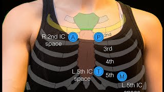 Sternal angle [upl. by Nyl]