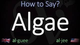 How to Pronounce Algae British Vs American English Pronunciation [upl. by Romeyn]