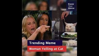 Know Your Meme 101 Woman Yelling at a Cat [upl. by Anaehr]