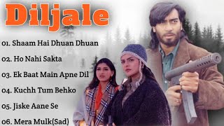 Dil Jale Movie All SongsAjay DevganSonali BendreMadhooMUSICAL WORLD [upl. by Ardnasirk610]